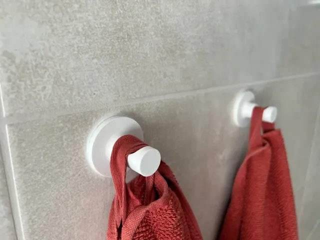 2'li Banyo ve Mutfak İçin Duvar Tipi Askı Kanca – Havlu ve Bez Askısı